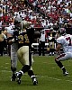 tampa04.jpg