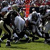 tampa11.jpg