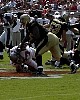 tampa13.jpg